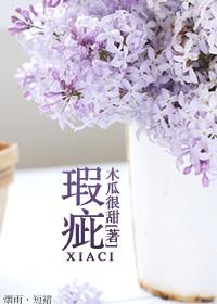瑕疵 瑕疵