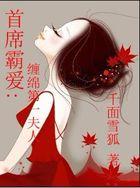 首席霸爱:缠绵第一夫人 首席霸爱:缠绵第一夫人