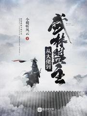 从大佬到武林盟主 从大佬到武林盟主