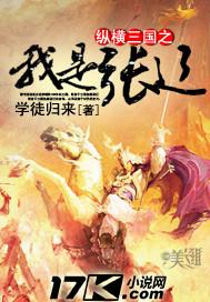 纵横三国之我是张辽 纵横三国之我是张辽