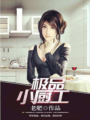 极品小厨工 极品小厨工