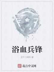 浴血兵锋 浴血兵锋