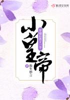 穿越后养了一个小皇帝 穿越后养了一个小皇帝
