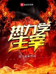 热力学主宰 热力学主宰