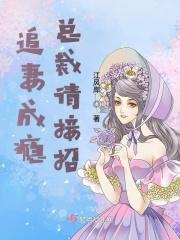 追妻成瘾总裁请接招 追妻成瘾总裁请接招
