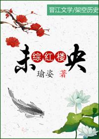 综红楼之未央 综红楼之未央