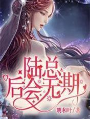 陆总,后会无期 陆总,后会无期