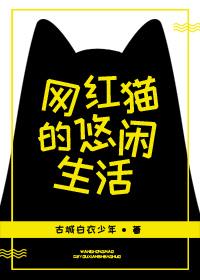 网红猫的悠闲生活 网红猫的悠闲生活