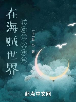 在海贼世界打造正义秩序 在海贼世界打造正义秩序