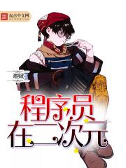 程序员在二次元 程序员在二次元