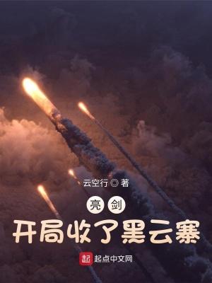 亮剑:开局收了黑云寨 亮剑:开局收了黑云寨