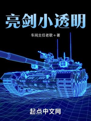 亮剑小透明 亮剑小透明