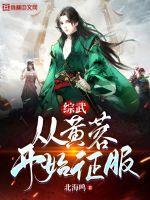 综武:从黄蓉开始征服 综武:从黄蓉开始征服